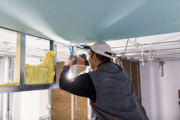 Best Specialized Insulation Services in Clinton, NY