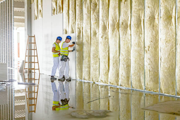 Best Eco-Friendly Insulation in Clinton, NY